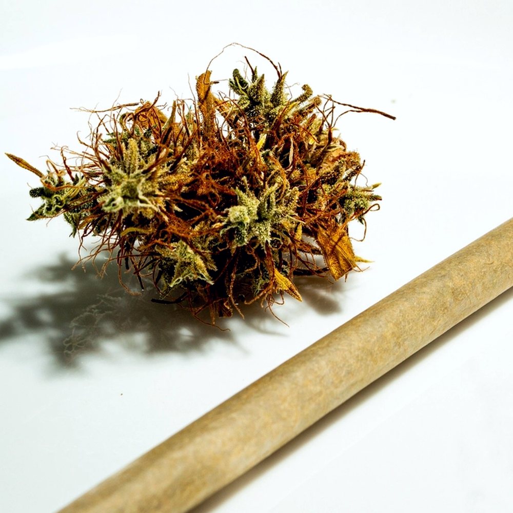 Hybrid Pre-Roll 5-Pack (26.1% THCA) — VelvetCBD