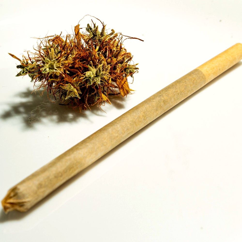 Sativa Pre-Roll 3-Pack (23.8% THCA) — VelvetCBD